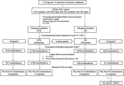 Big Data-Based Identification of Multi-Gene Prognostic Signatures in Liver Cancer